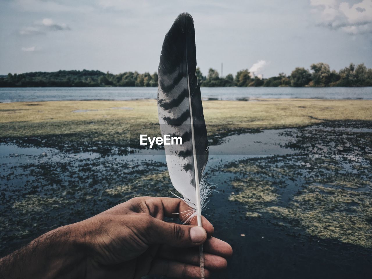 Cropped hand holding feather by lake against sky