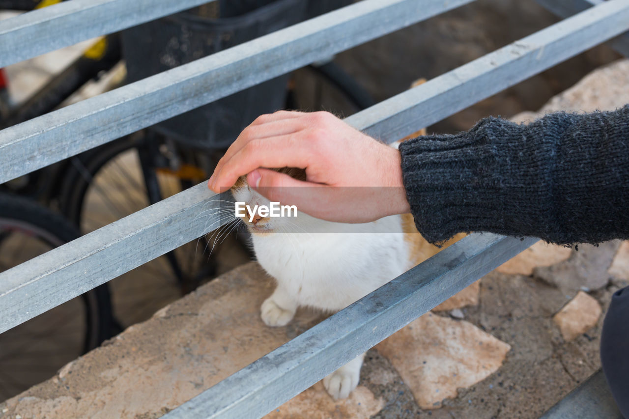 HIGH ANGLE VIEW OF HAND HOLDING HANDS