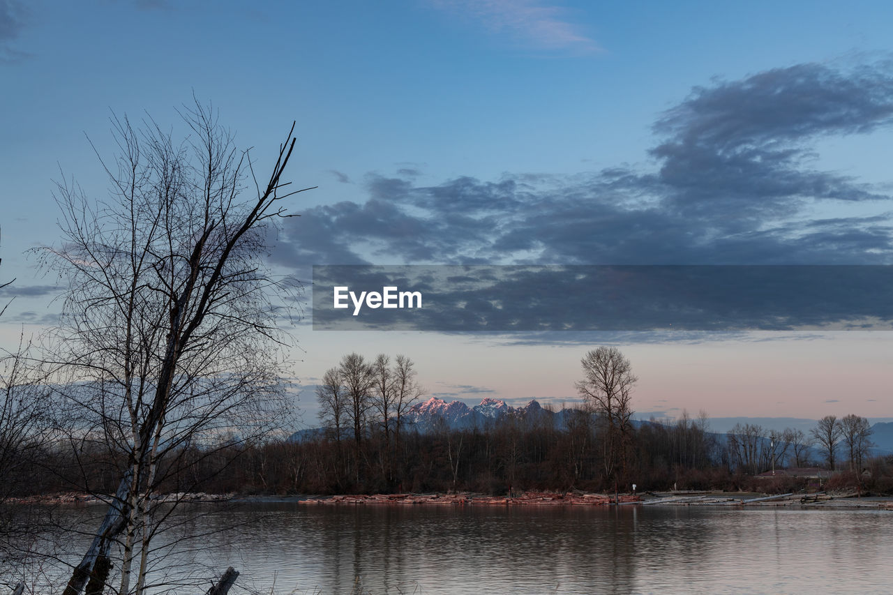 SCENIC VIEW OF LAKE BY TREES AGAINST SKY