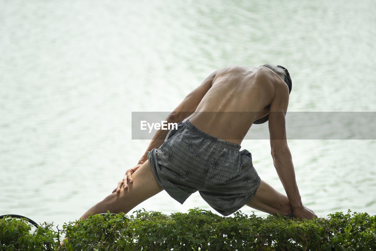 Rear view of shirtless man standing by plants and lake