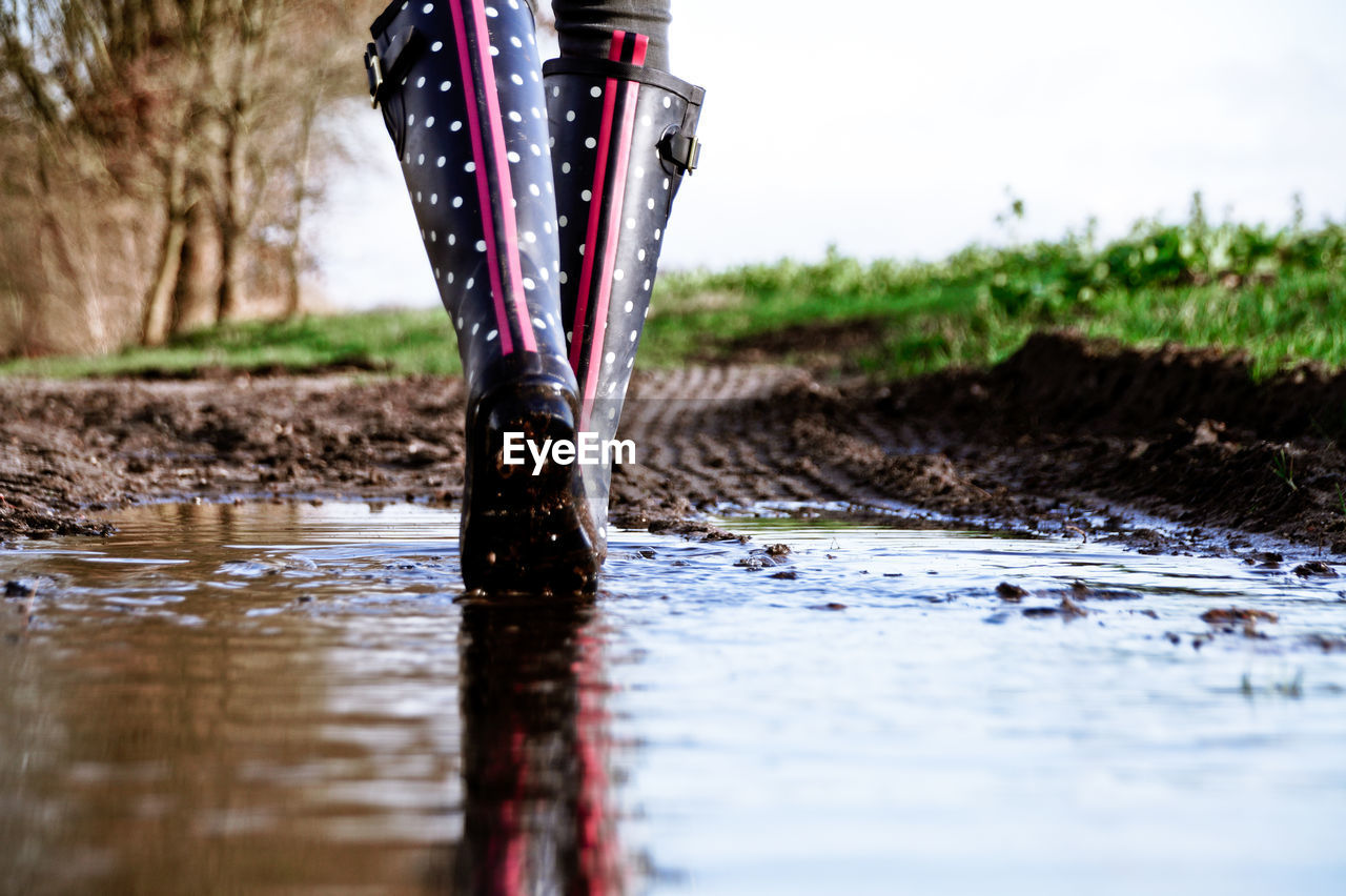 Close-up of puddle