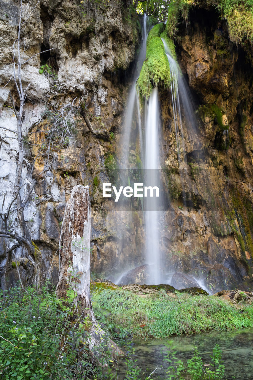 WATERFALL IN FOREST