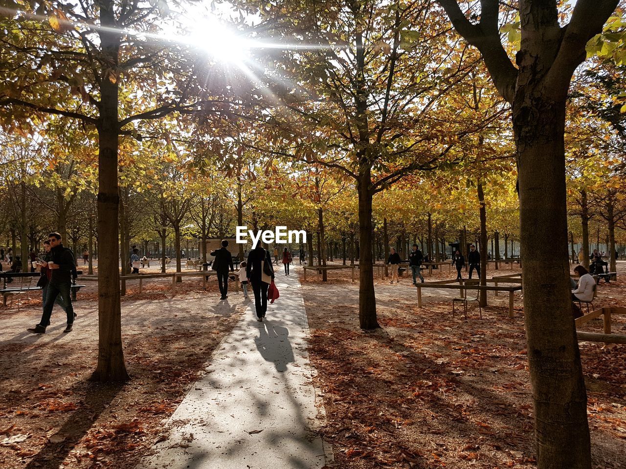 PEOPLE IN PARK