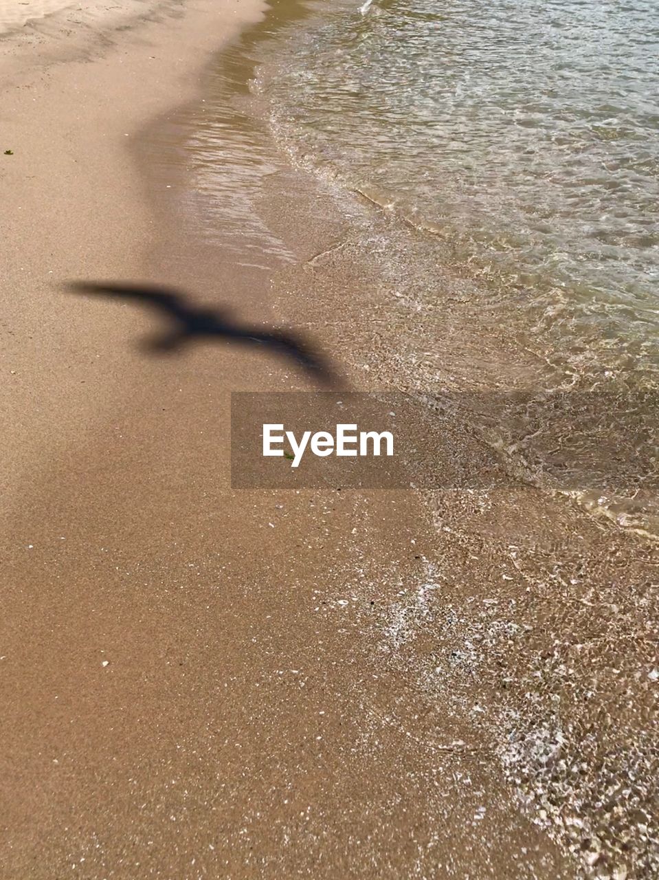 HIGH ANGLE VIEW OF SAND SHADOW ON BEACH