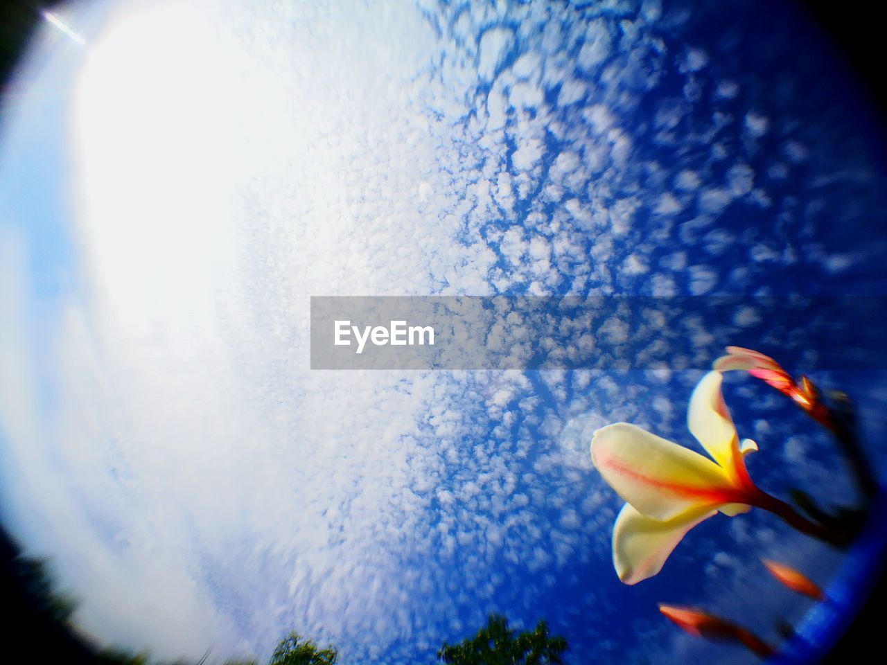 LOW ANGLE VIEW OF BLUE SKY AND CLOUDS