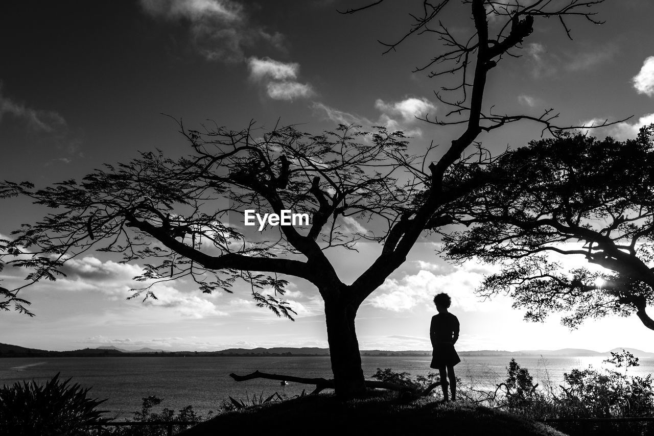 SILHOUETTE MAN STANDING BY TREE AGAINST SKY