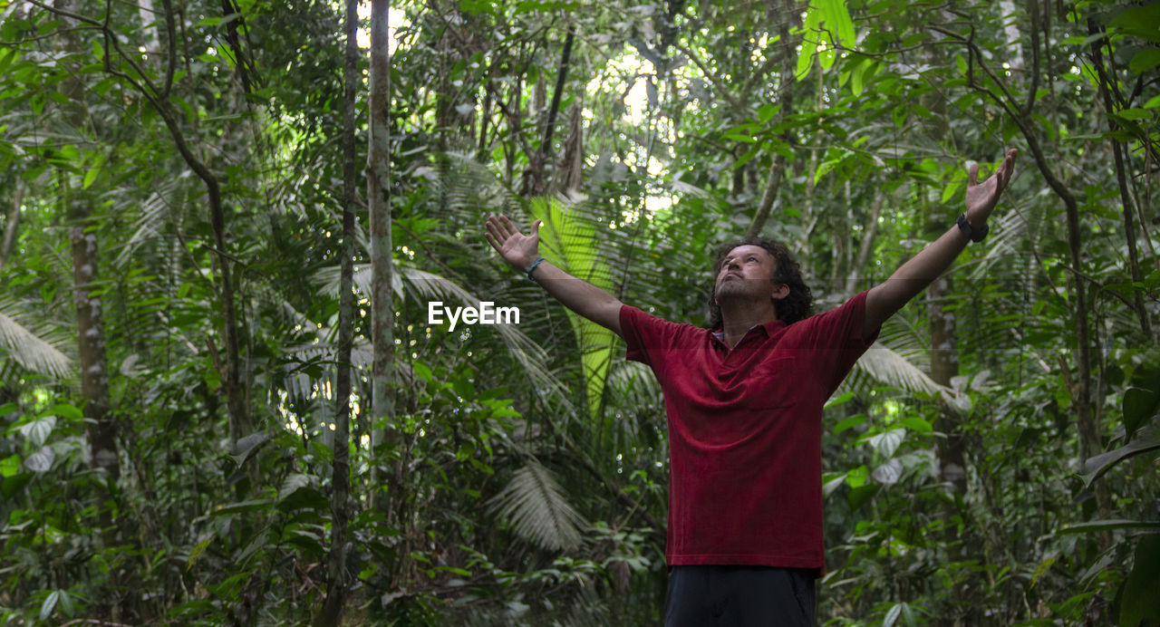 Young tourist man raises his arms and looks up to the sky in the middle of an amazonian forest