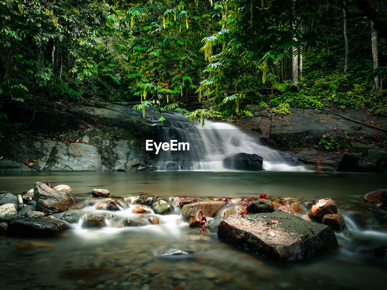 Scenic view of waterfall in forest