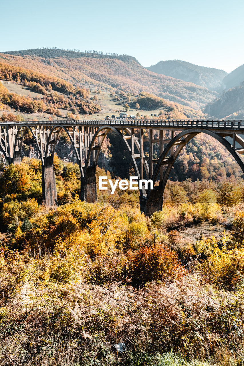 Panorama view of tara canyon bridge full of colors in autumn in montenegro. 