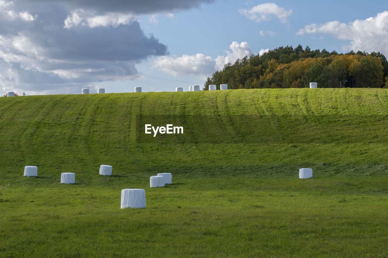 GREEN FIELD AGAINST SKY