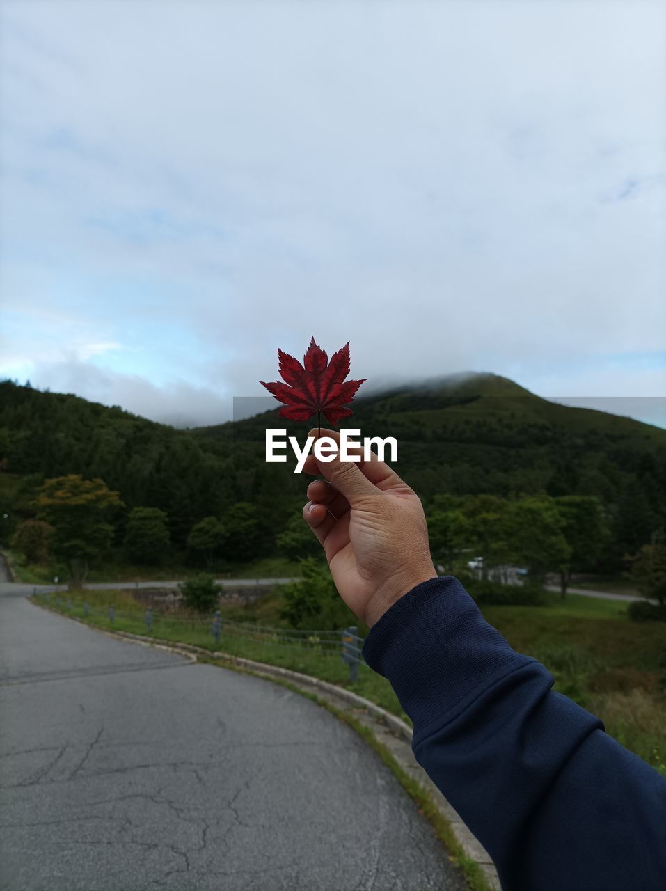 one person, hand, nature, leaf, plant, tree, sky, flower, beauty in nature, mountain, holding, cloud, personal perspective, day, adult, environment, outdoors, landscape, grass, leisure activity, land, flowering plant, scenics - nature, red