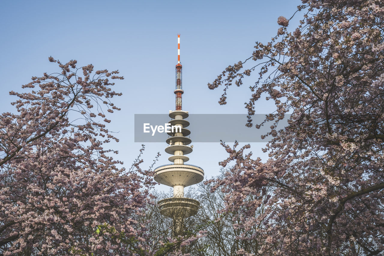 Germany, hamburg, heinrich hertz tower with blooming cherry blossoms in foreground