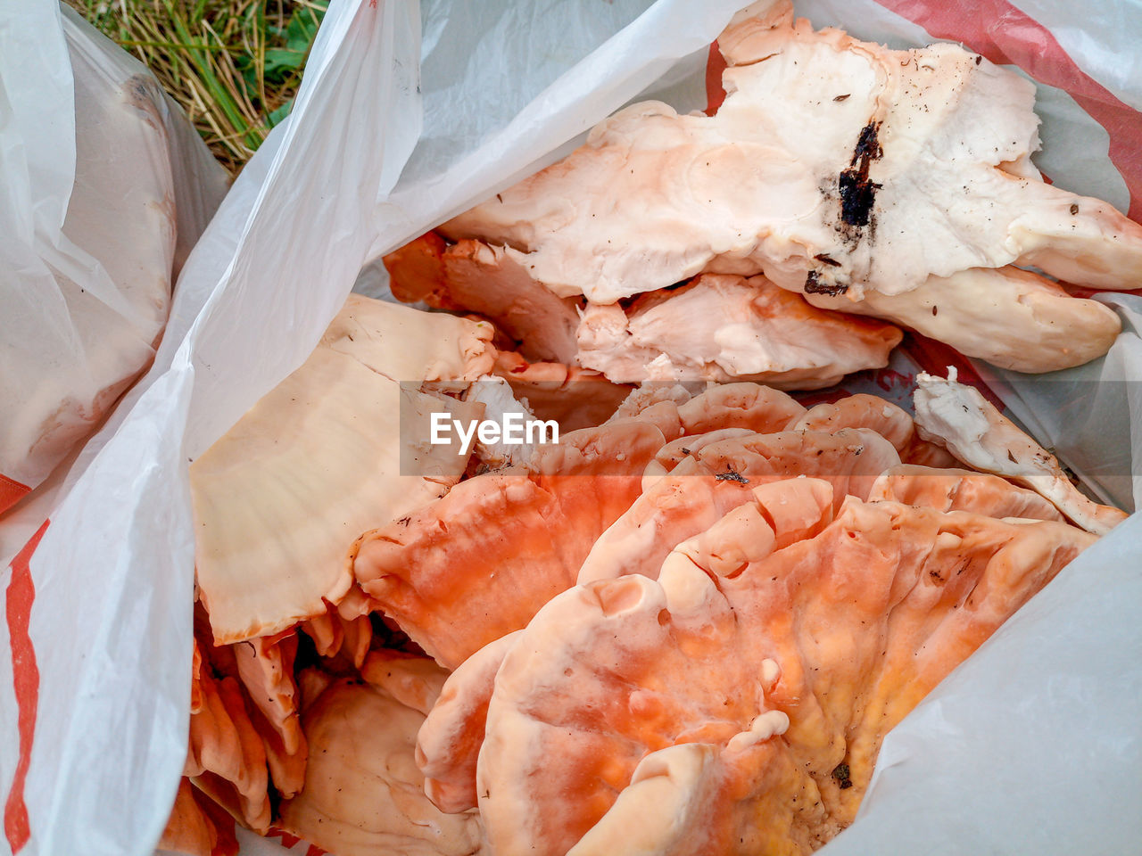 HIGH ANGLE VIEW OF FISH FOR SALE IN MARKET