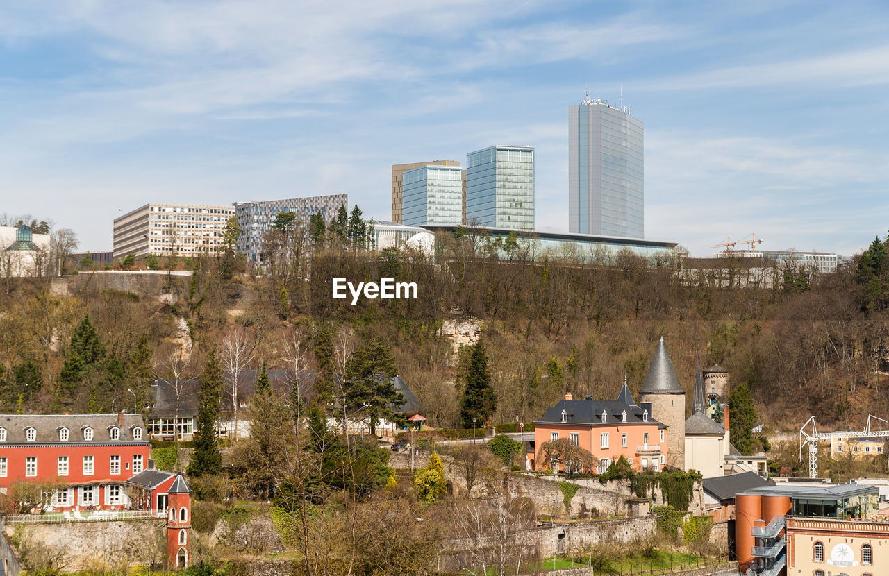 BUILDINGS AND TREES AGAINST SKY