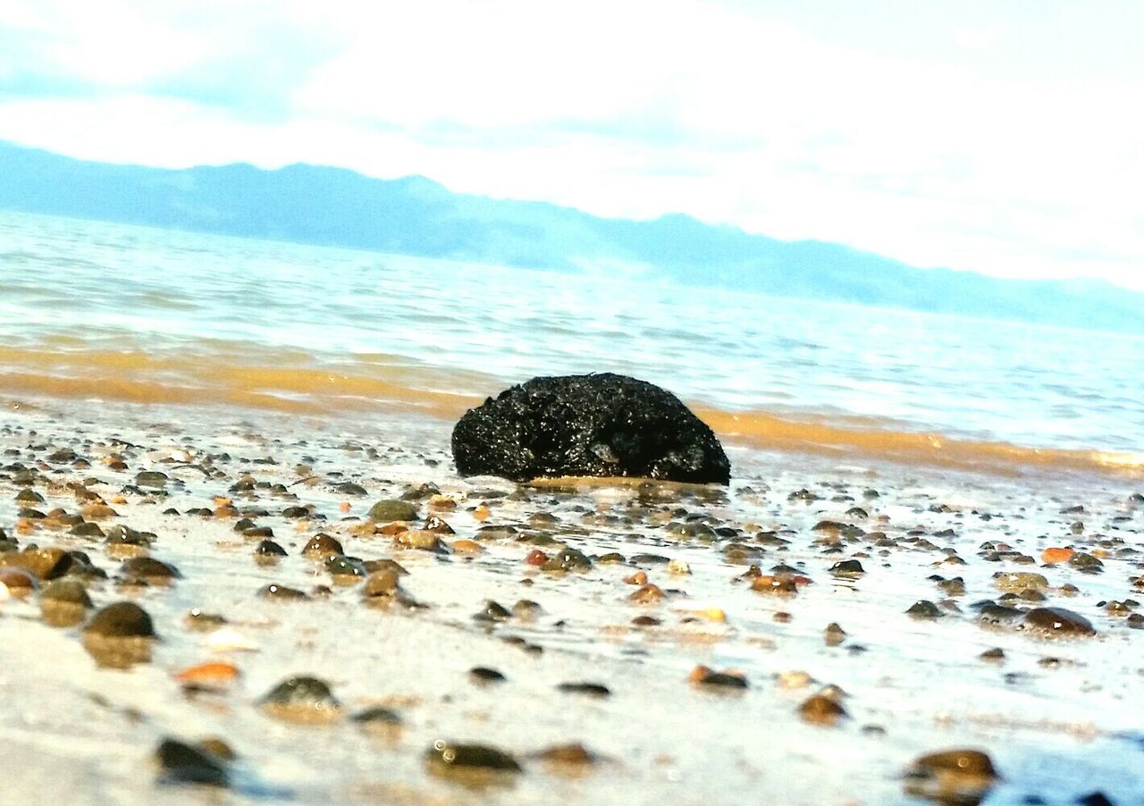 CLOSE-UP OF ROCKS ON SHORE AT BEACH AGAINST SKY