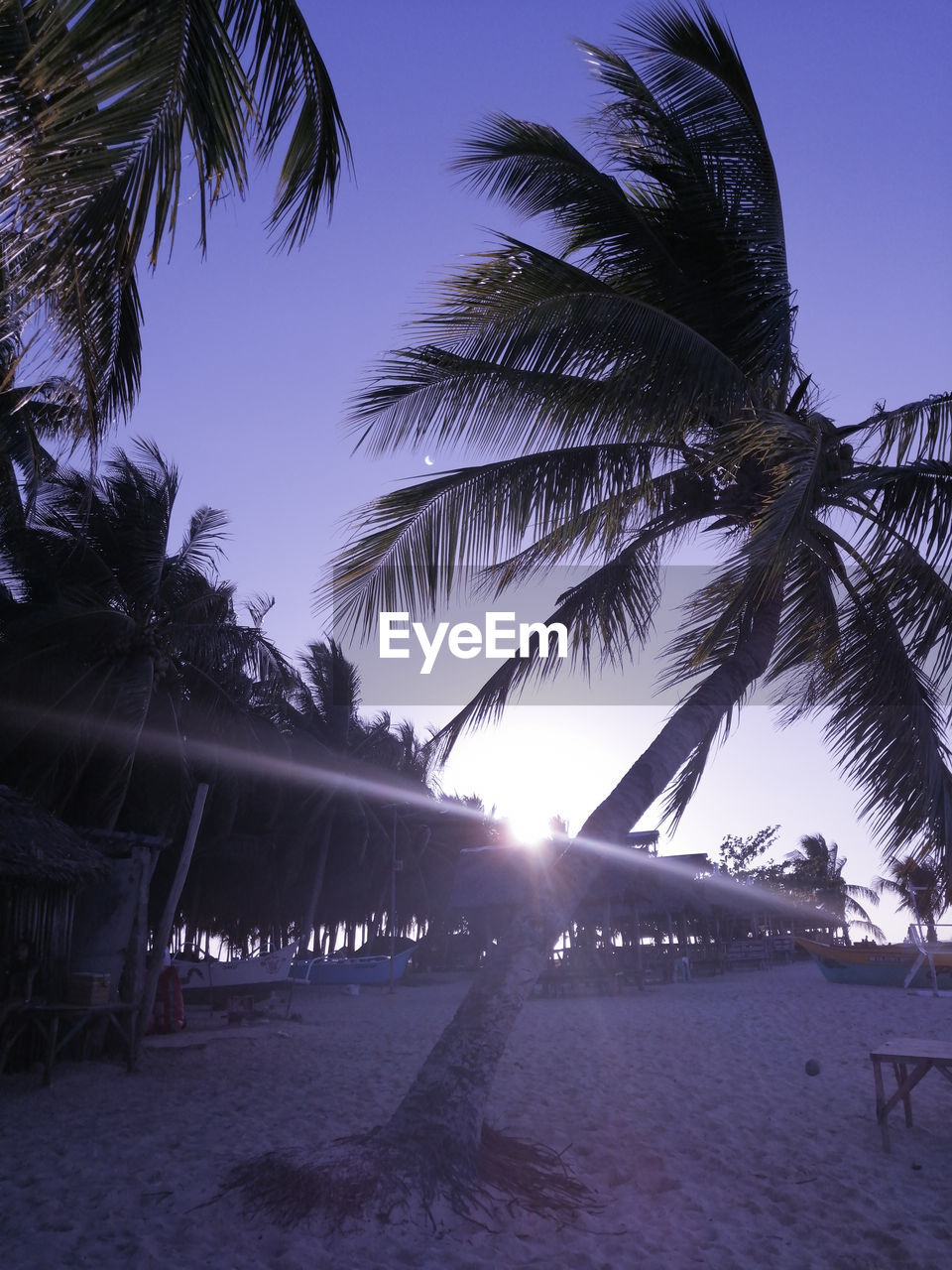 PALM TREES AT BEACH AGAINST SKY