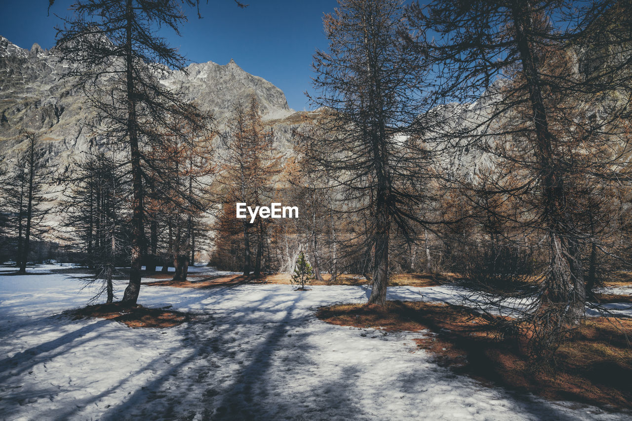 Fall in the ecrins national park - un automne dans le parc national des ecrins, hautes alpes, france