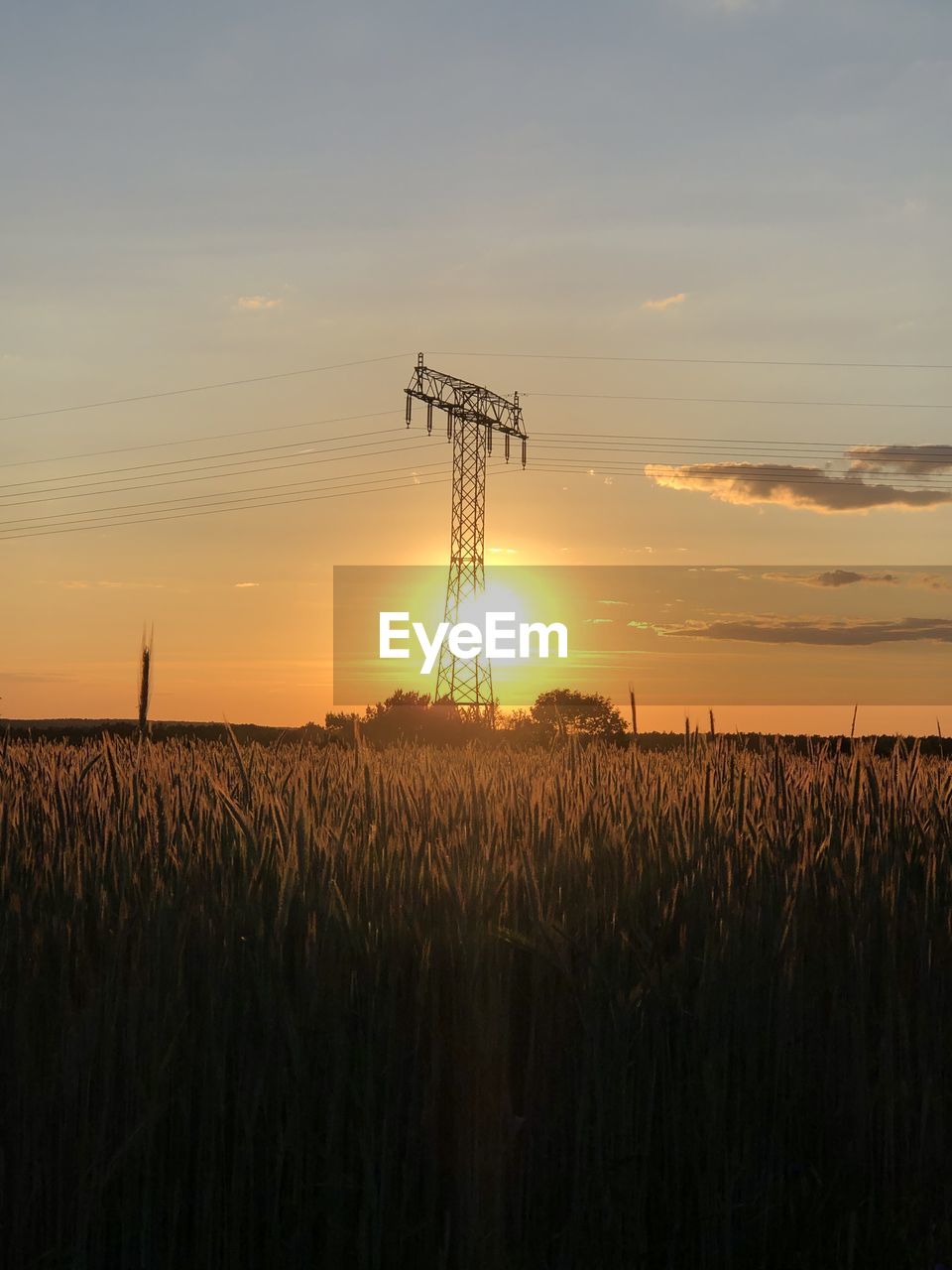 Scenic view of field against sky during sunset