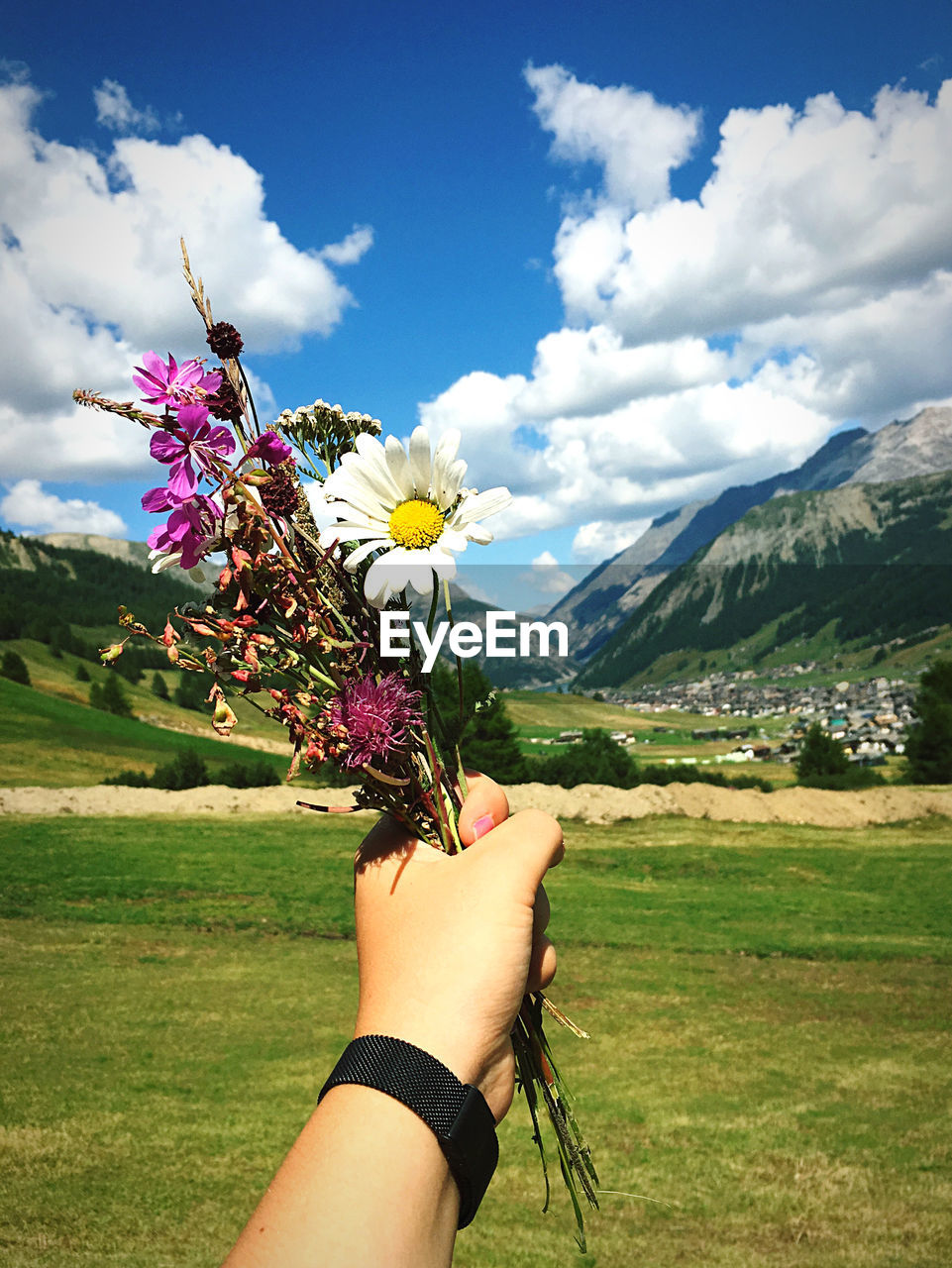 Cropped hand of person holding flowers