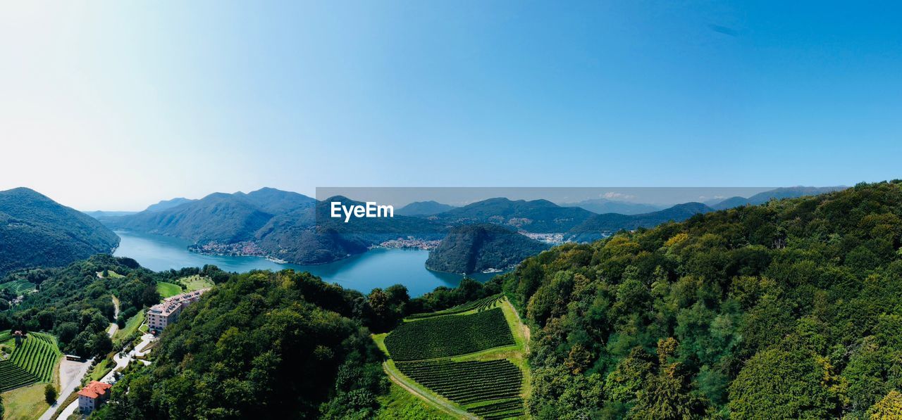 PANORAMIC SHOT OF TREES ON LANDSCAPE AGAINST CLEAR SKY