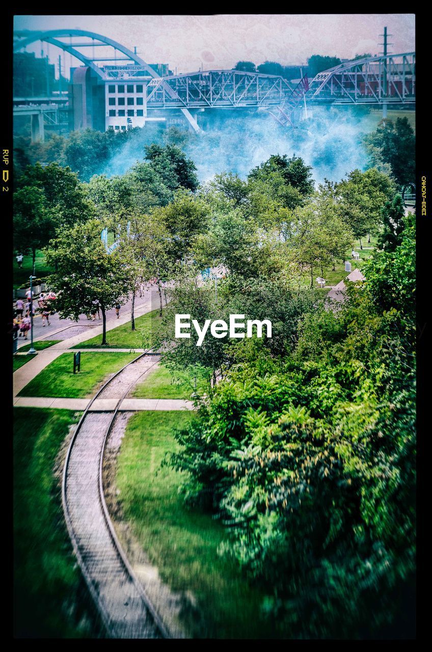 VIEW OF TREES IN THE CITY