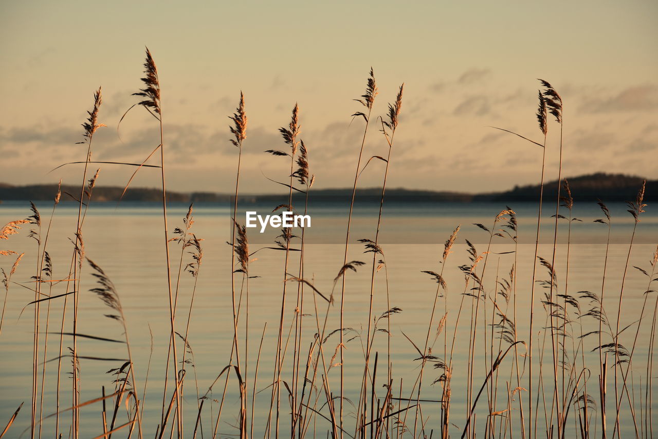 SCENIC VIEW OF LAKE AGAINST SUNSET SKY