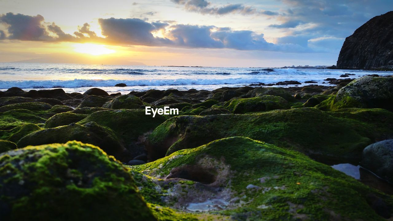 Moss covered rocky shore against cloudy sky