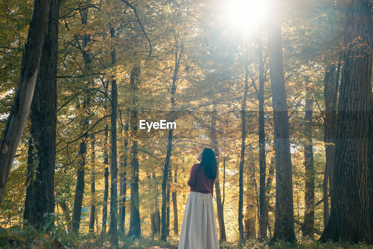 Rear view of woman standing in forest