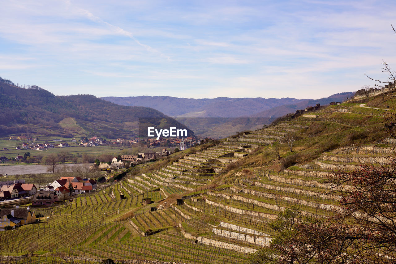 Scenic view of agricultural field against sky