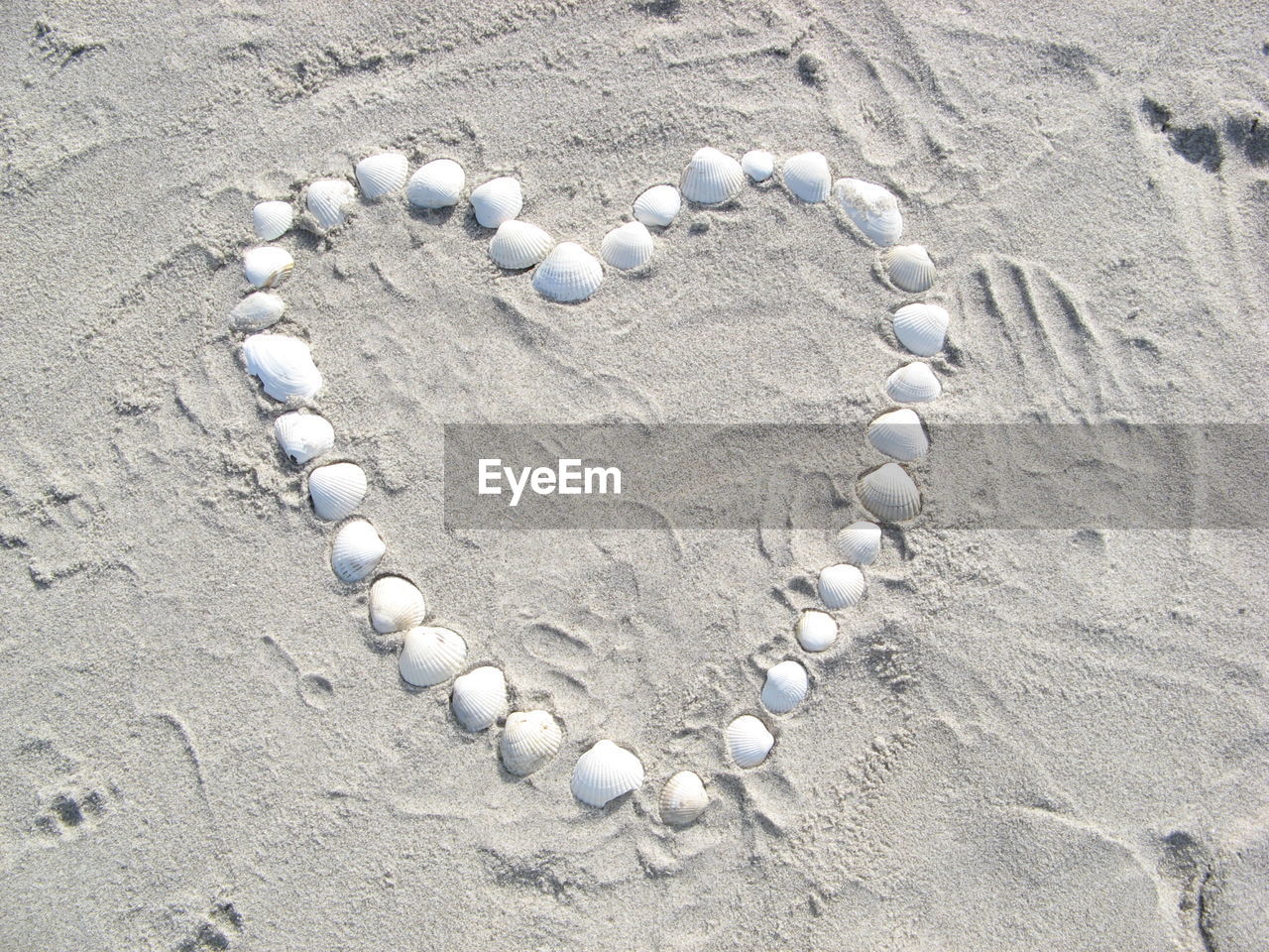 HIGH ANGLE VIEW OF SHELL ON SAND