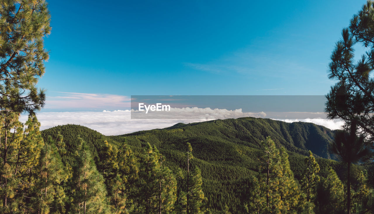 Panoramic view of landscape against sky