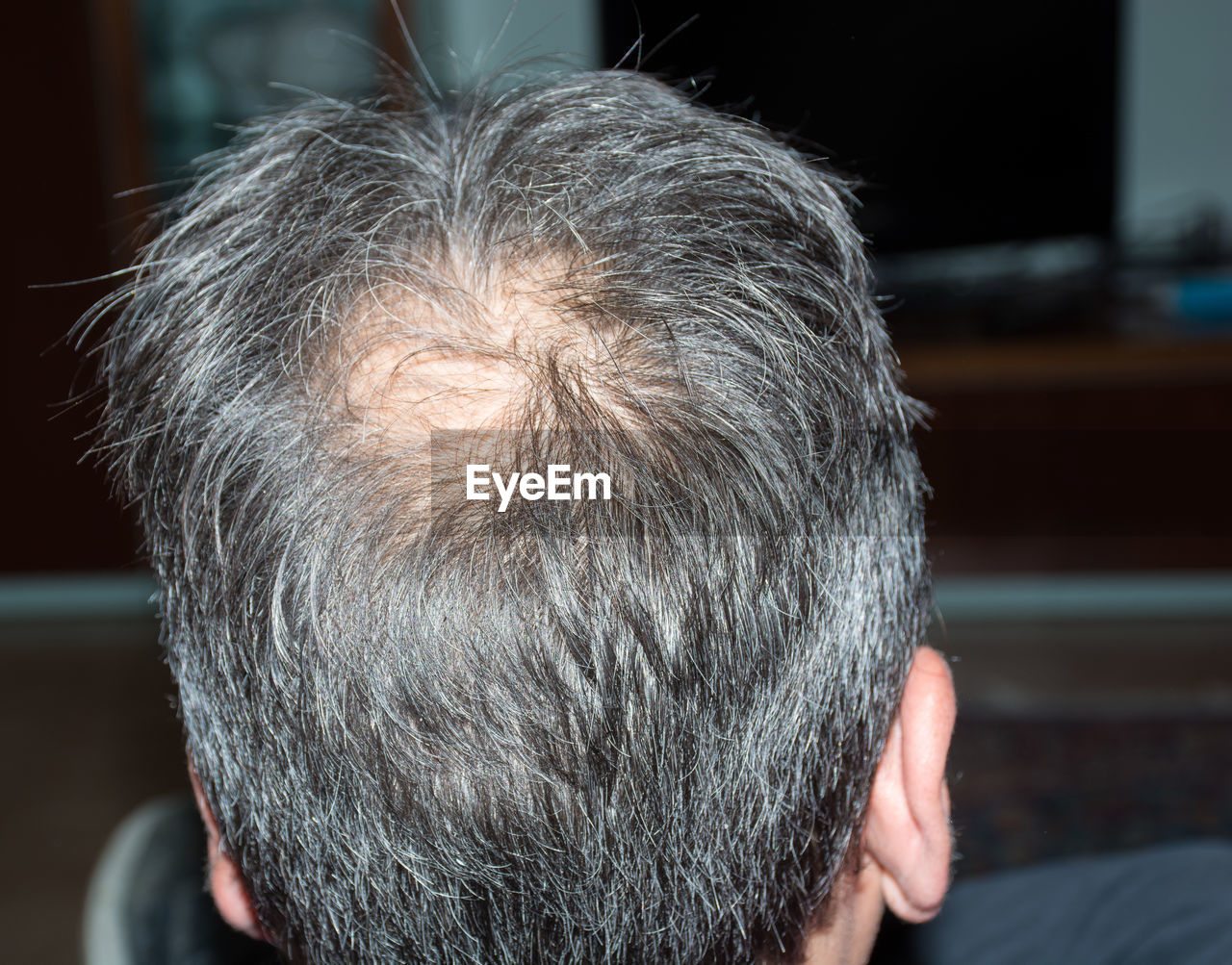 Rear view of mature man with gray hair