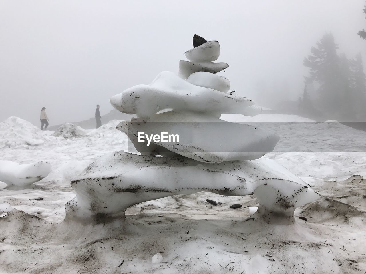 Snow covered field during winter