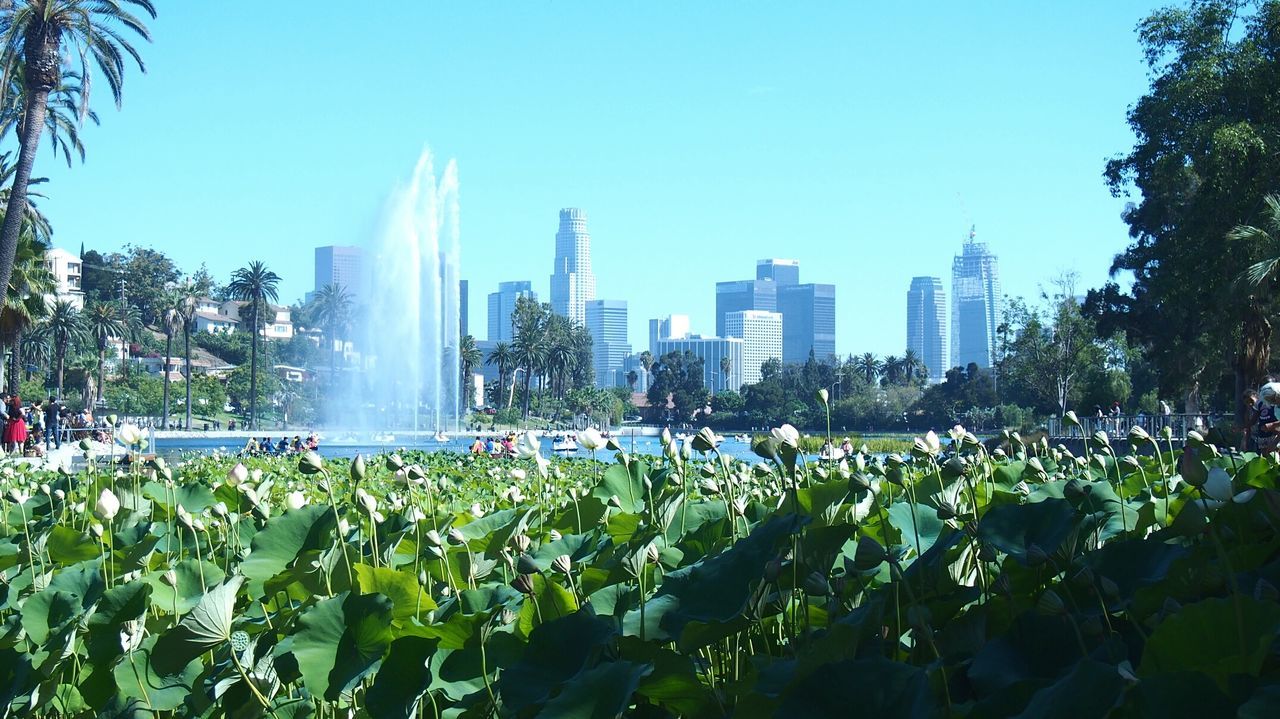 SKYSCRAPERS IN CITY