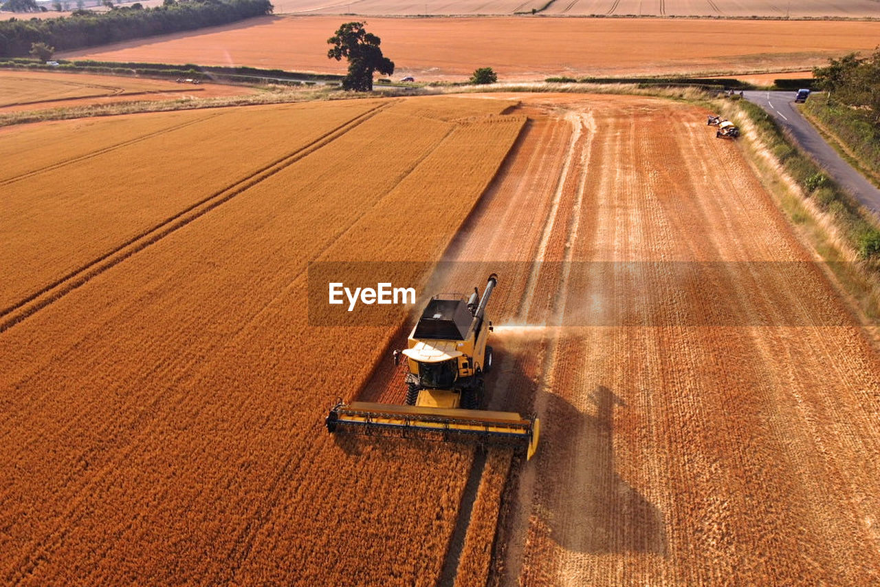 Combine harvester working on mertoun estate farm, cutting oat crop in fields during dry spell