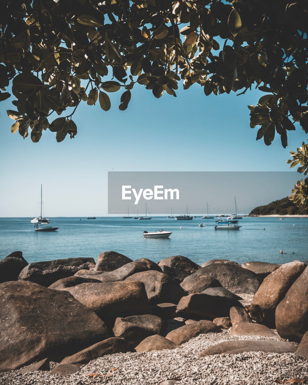 Scenic view of sea and boats through trees against sky