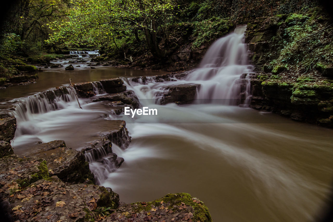 View of waterfall in forest