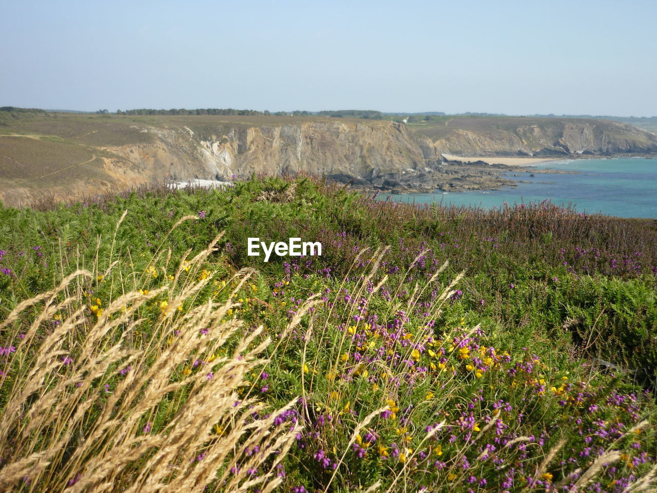 SCENIC VIEW OF SEA