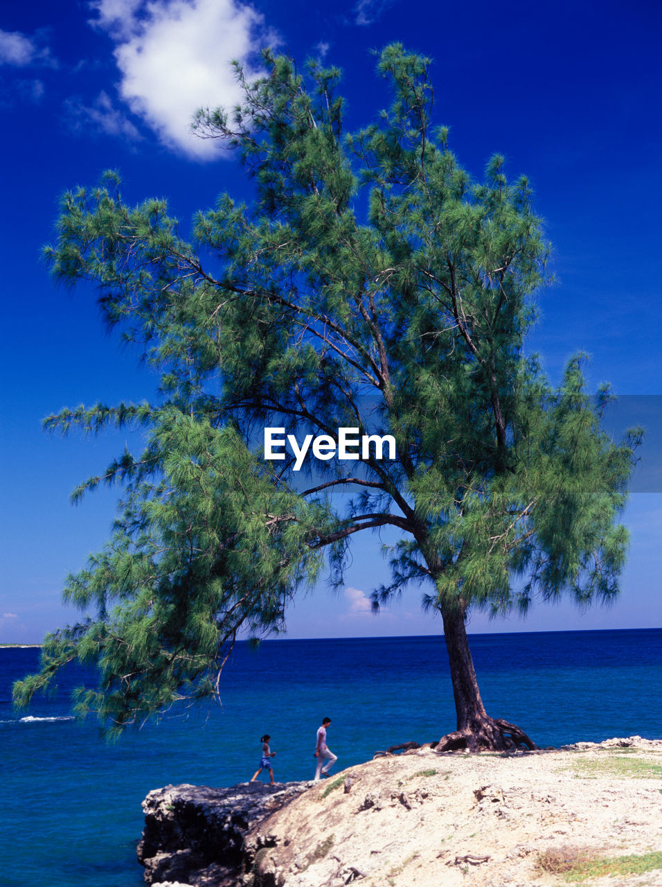 Scenic view of sea against blue sky