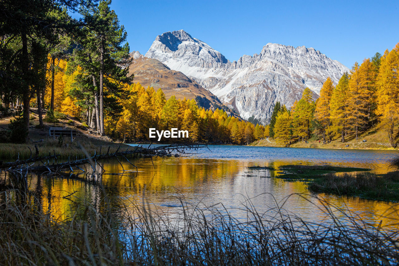 Golden autumn in the mountains