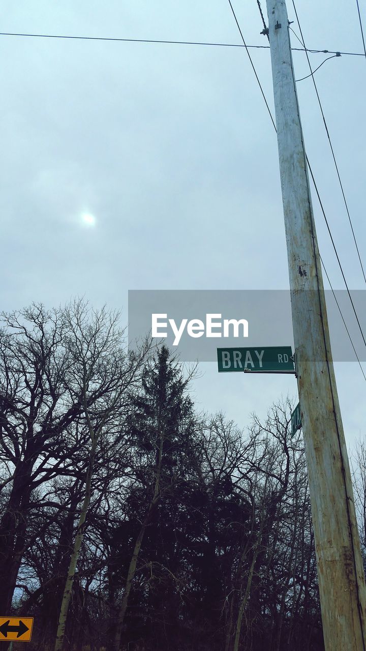 LOW ANGLE VIEW OF ROAD SIGN ON BARE TREE AGAINST SKY