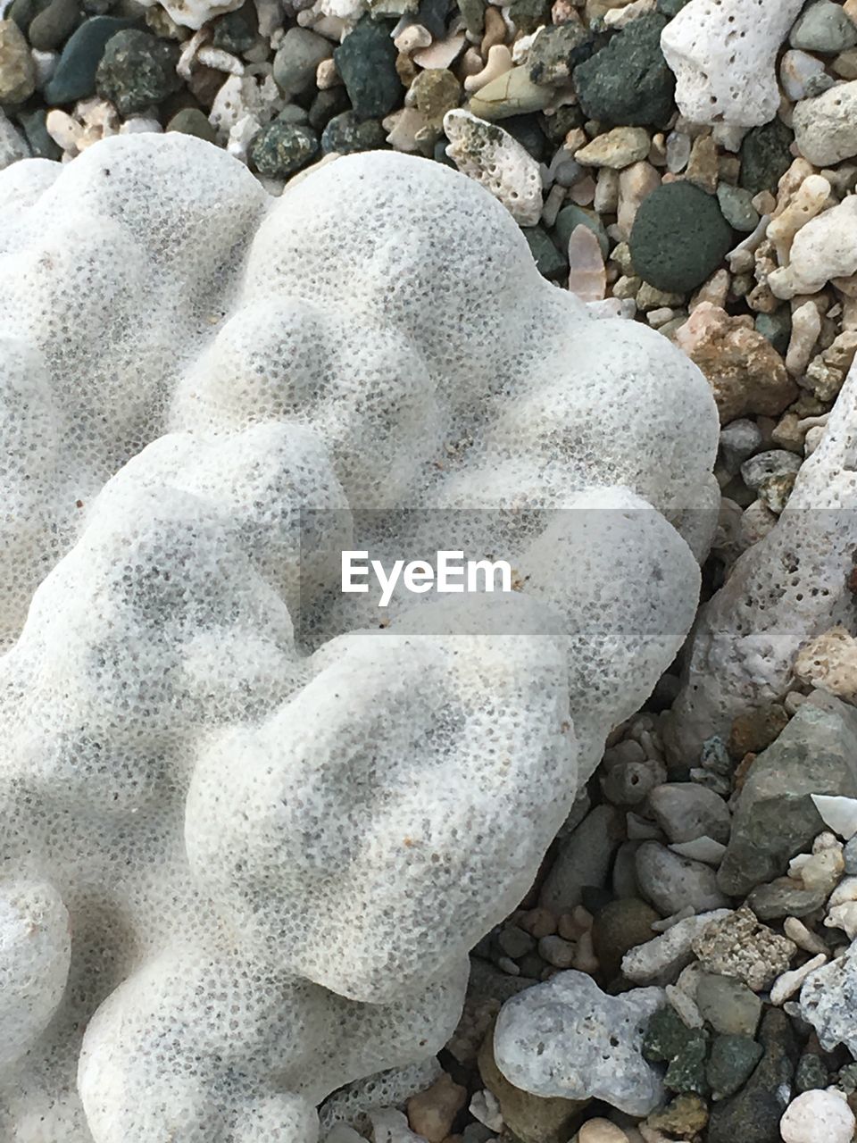 HIGH ANGLE VIEW OF CRAB ON SAND