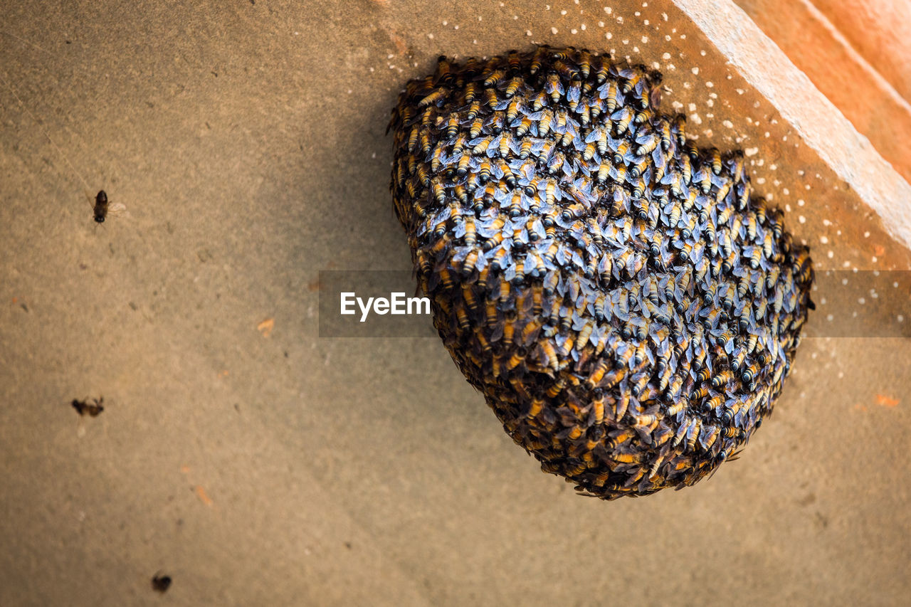 CLOSE-UP OF SAND