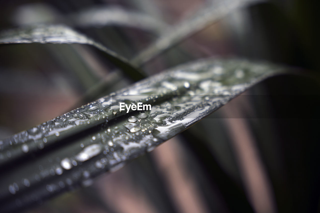 CLOSE-UP OF WATER DROPS ON METAL