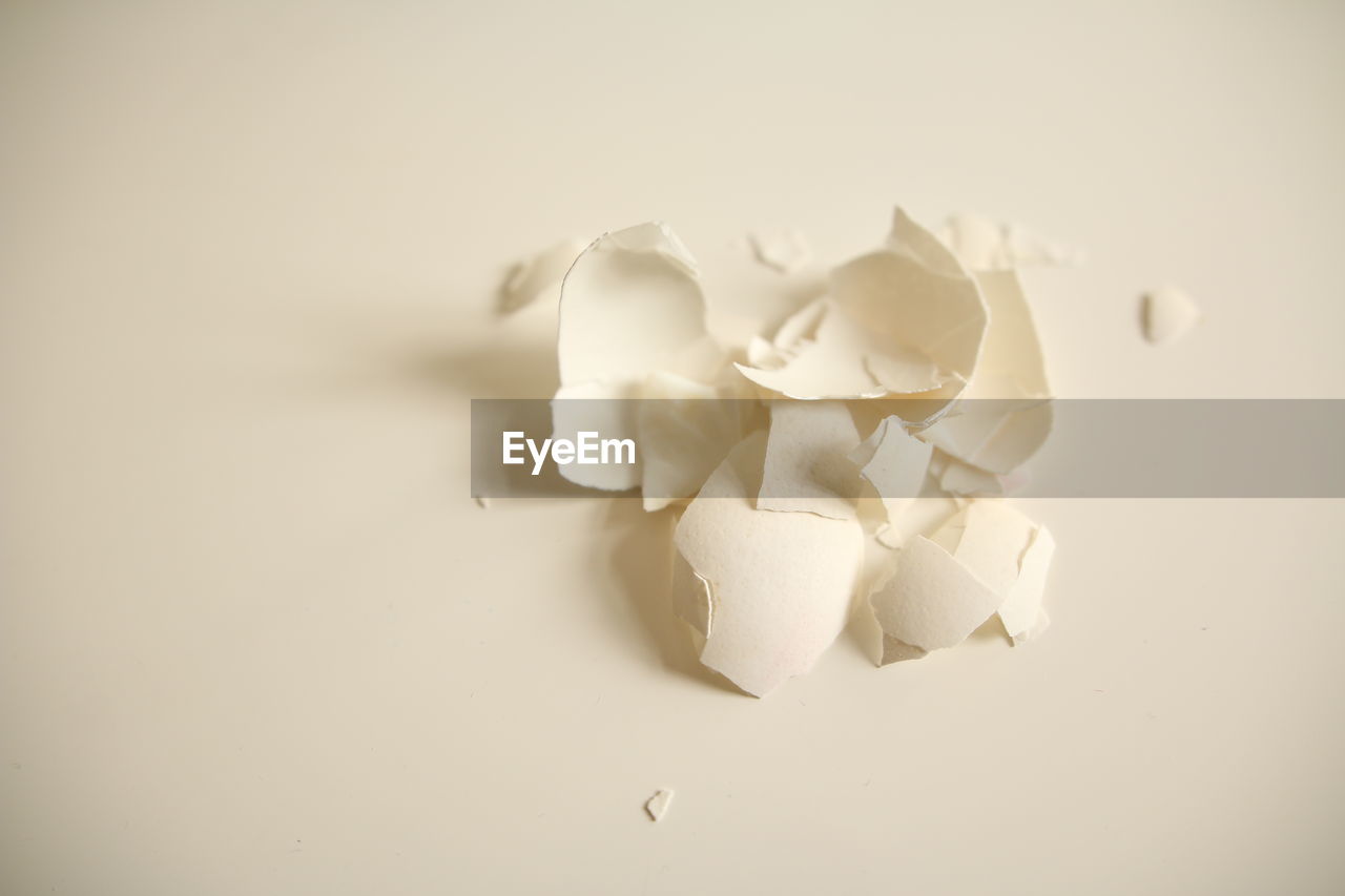Close-up of broken egg shells over white background