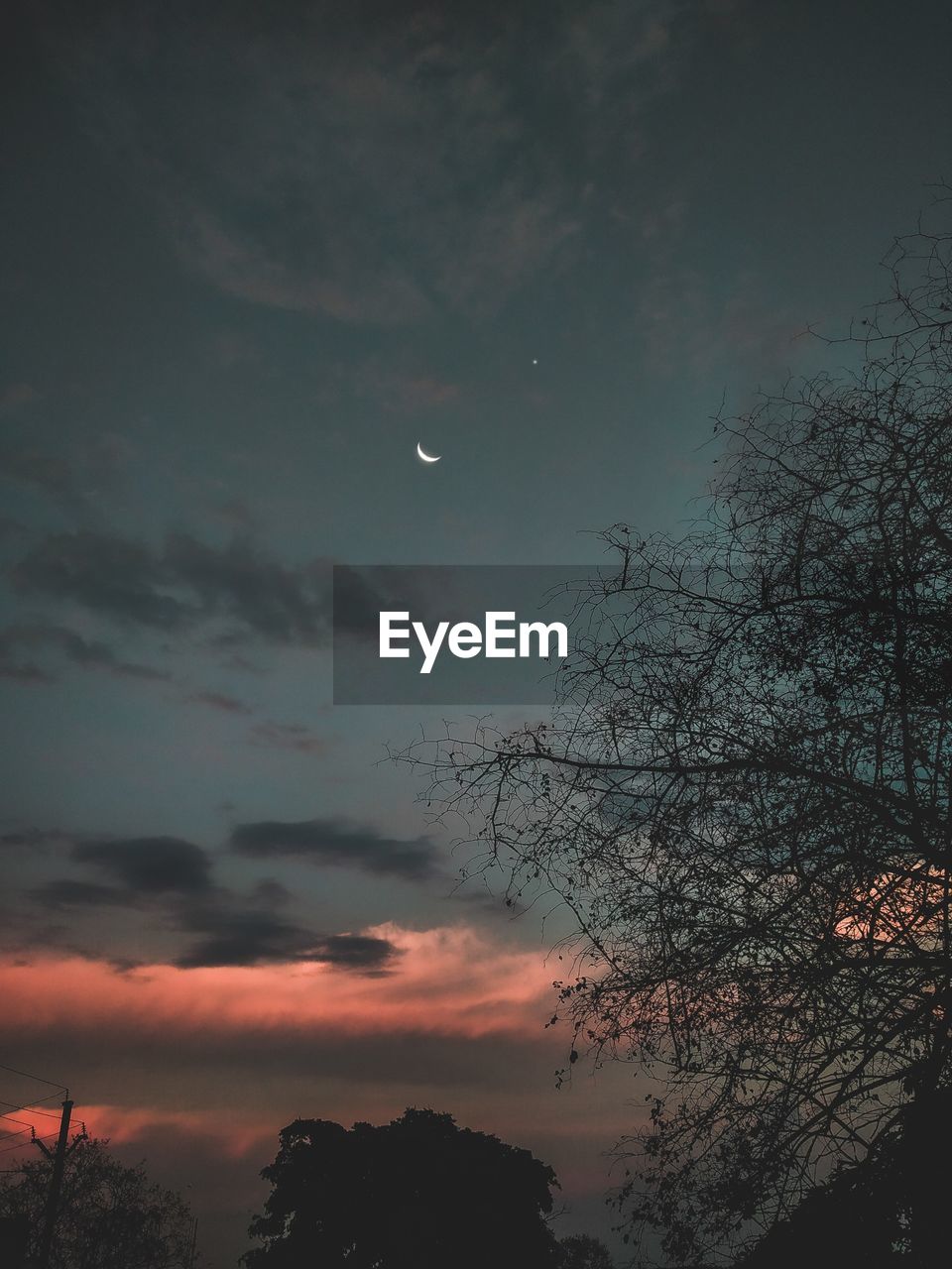 LOW ANGLE VIEW OF SILHOUETTE TREE AGAINST SKY AT SUNSET