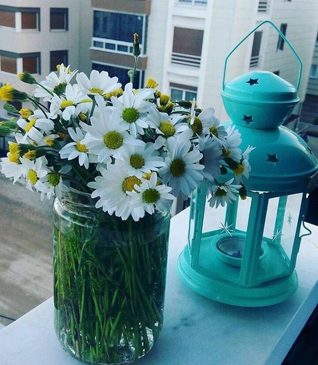 CLOSE-UP OF FLOWERS IN VASE AGAINST WINDOW