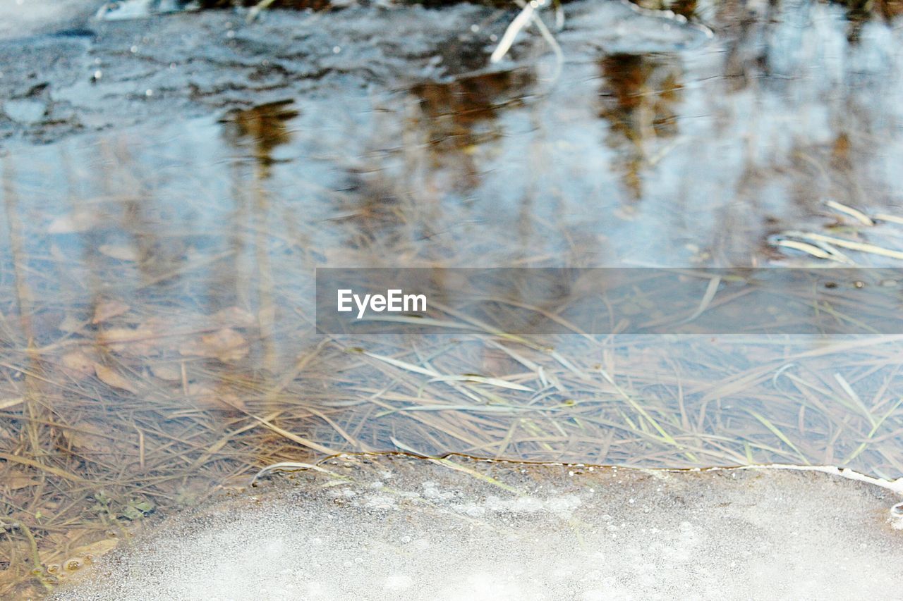 Close-up of frozen water