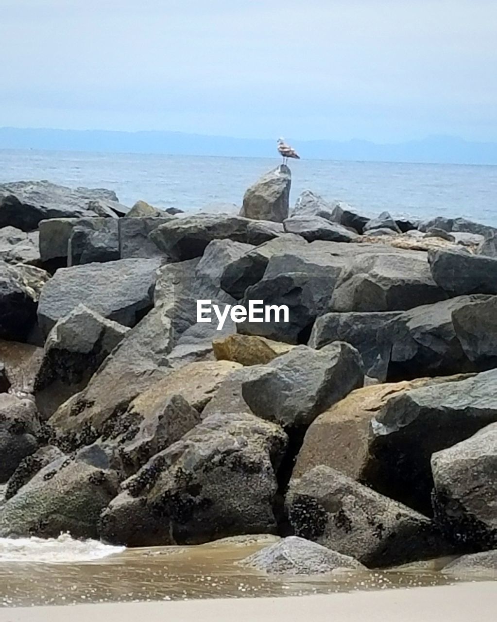 ROCKS ON SEA SHORE AGAINST CLEAR SKY