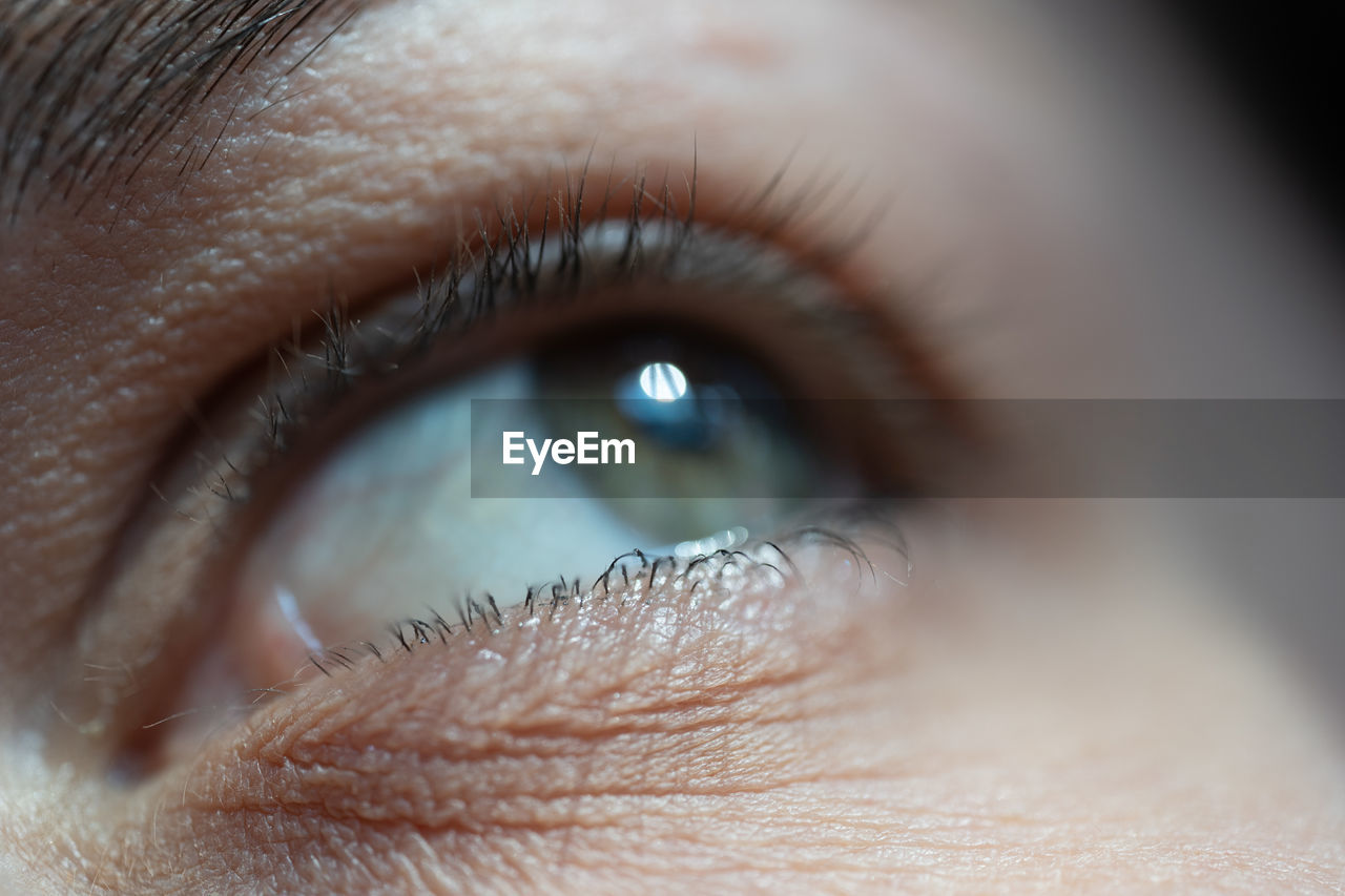 Extreme close-up of human eye looking away